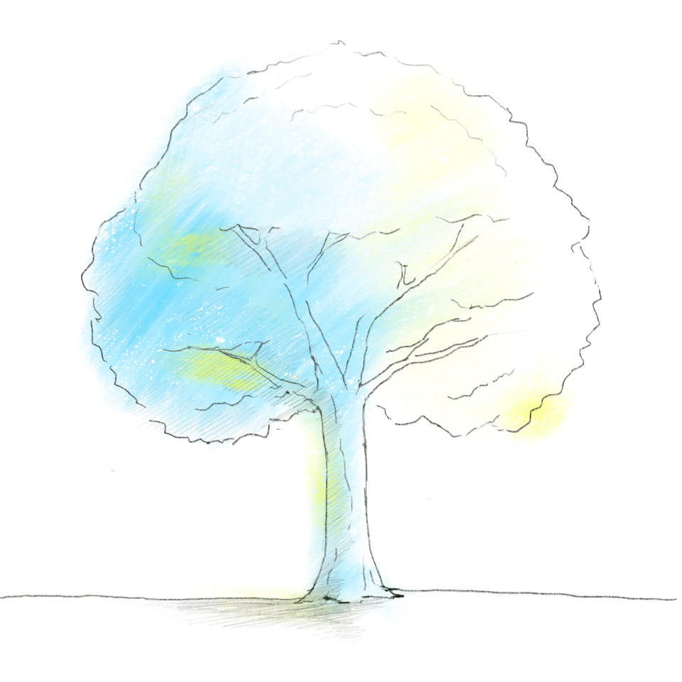 suoreviews-pricing-tree
